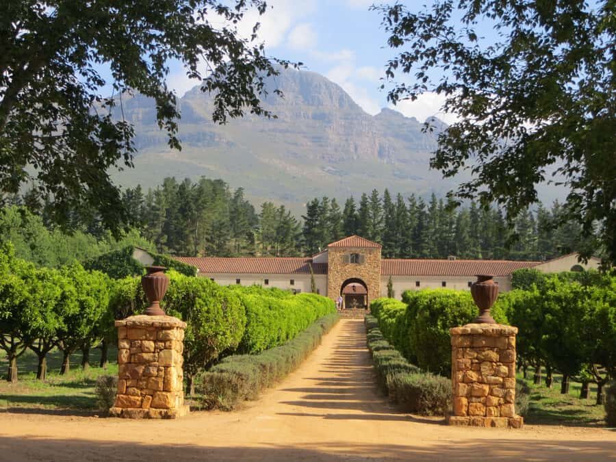 Stellenbosch: All-inclusive Private Wine Tour & Tastings - Key highlights worth planning for