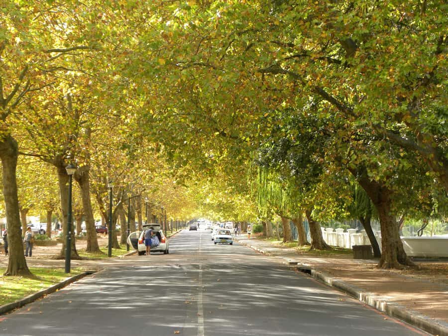 Stellenbosch: All-inclusive Private Wine Tour & Tastings - Snack Platter and Light Lunch: What’s Actually Included