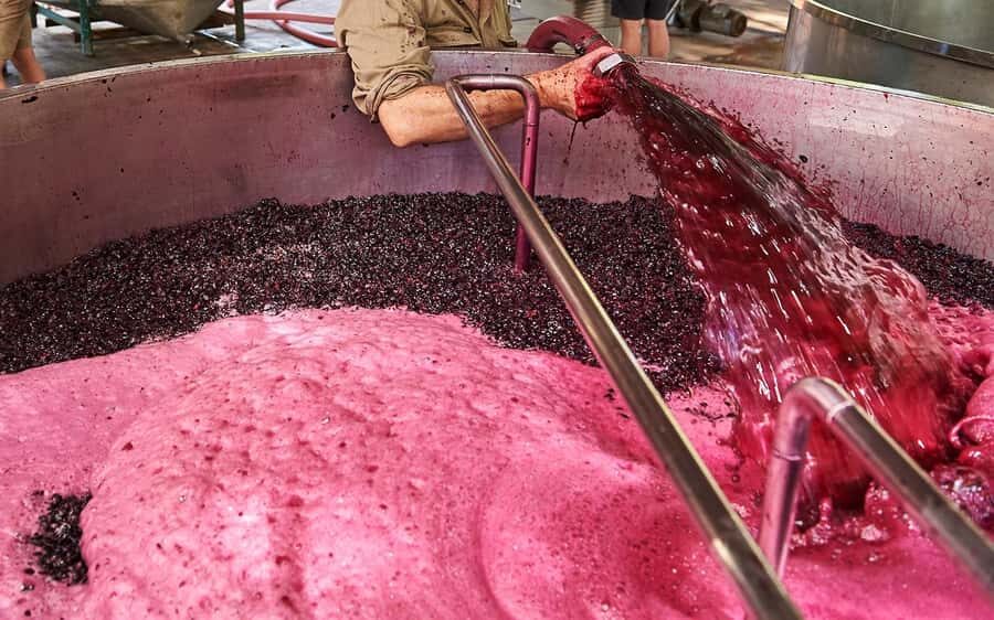 Stellenbosch: All-inclusive Private Wine Tour & Tastings - What to Pack and Small Rules That Matter