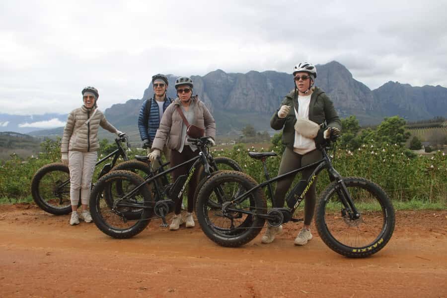 Stellenbosch: Countryside Banhoek valley E-Bike Wine Tour - Price and value: why $85 can make sense