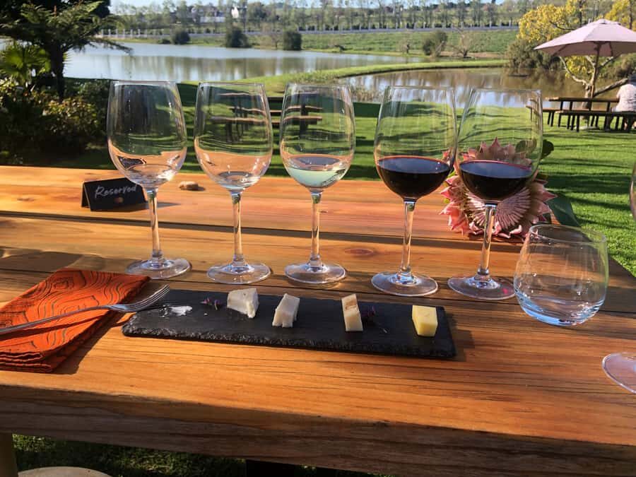 Stellenbosch: Daily Diffirent small group full day wine tour - Walking the Vineyards: The Part Many Tours Skip