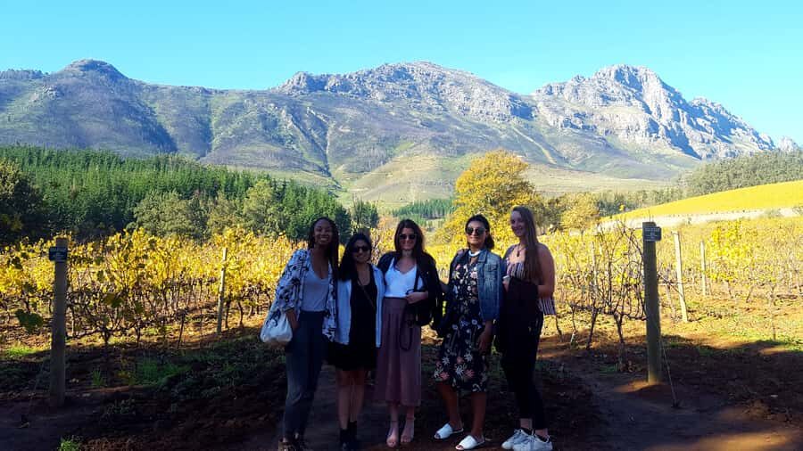 Stellenbosch: Eastern Route Hop-On Hop-Off Wine Tour - The 510-minute day: how to plan your time on the Eastern Route