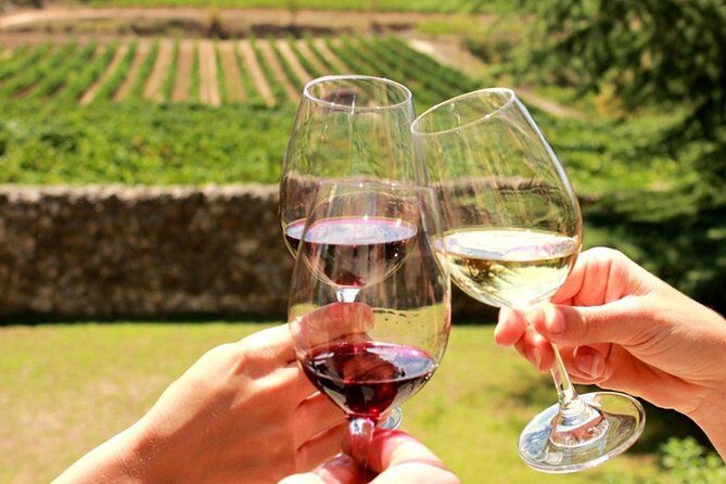 Stellenbosch, Franschhoek and Paarl: Full Day Wine Tour - Key things to know before you go