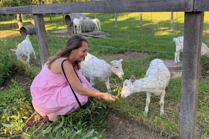 Stellenbosch, Franschhoek and Paarl: Full Day Wine Tour - A practical look at this Cape Winelands route