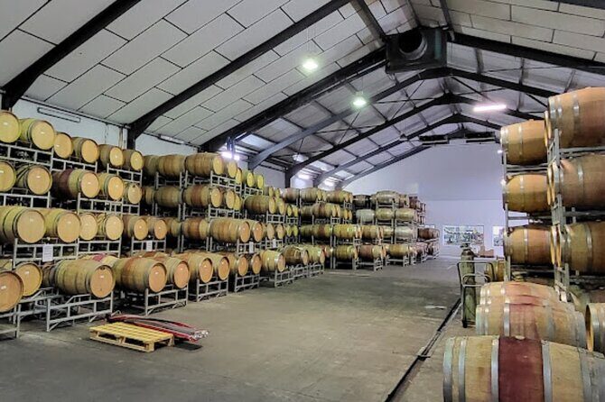 Stellenbosch, Franschhoek and Paarl: Full Day Wine Tour - Stellenbosch winery stop #1: natural-style wines and biltong pairing