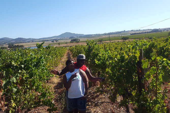 Stellenbosch Franschhoek Full-Day Tour with Cheese Tasting - Door-to-Door Convenience and a 15-Person Cap