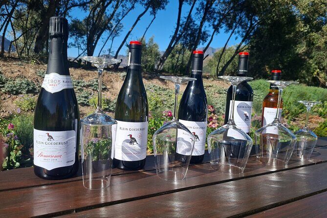 Stellenbosch & Franschhoek Wine Tasting Private Tour incl. Lunch - Who Should Book This Stellenbosch and Franschhoek Day?
