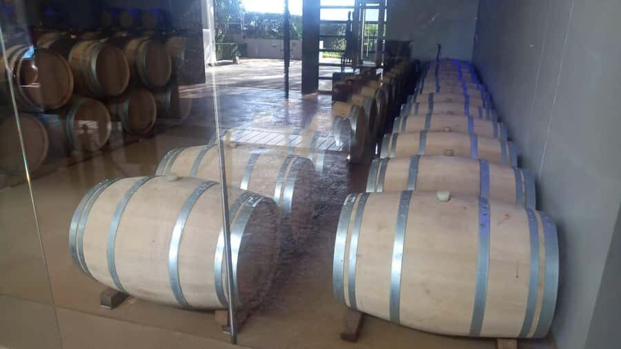Stellenbosch, Franshoek ,Paarl Region (20 wine tastings) - Fairview’s paired tasting: red and white plus cheese