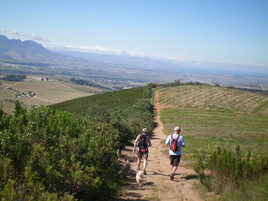 Stellenbosch: Guided Vineyard Hike and Wine Tasting - Banhoek Valley Vineyard Walk: views plus real winemaking context
