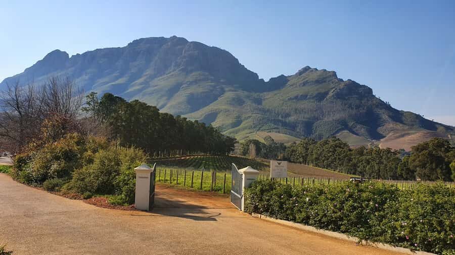 Stellenbosch: Guided Vineyard Hike and Wine Tasting - Light Lunch With Cheese, Antipasti, and Charcuterie Platters