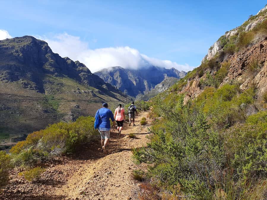Stellenbosch: Half-Day Guided Nature Hike and Wine Tasting - Banhoek Valley: a guided hike that connects views to real conservation