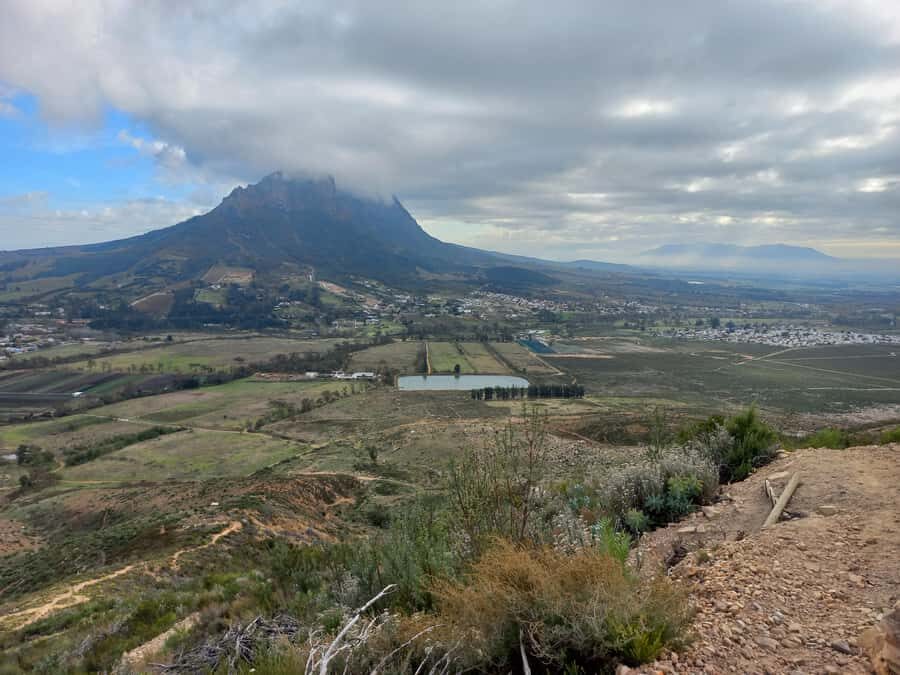 Stellenbosch: Half-Day Guided Nature Hike and Wine Tasting - Why the boutique vineyard stop is more than a photo moment
