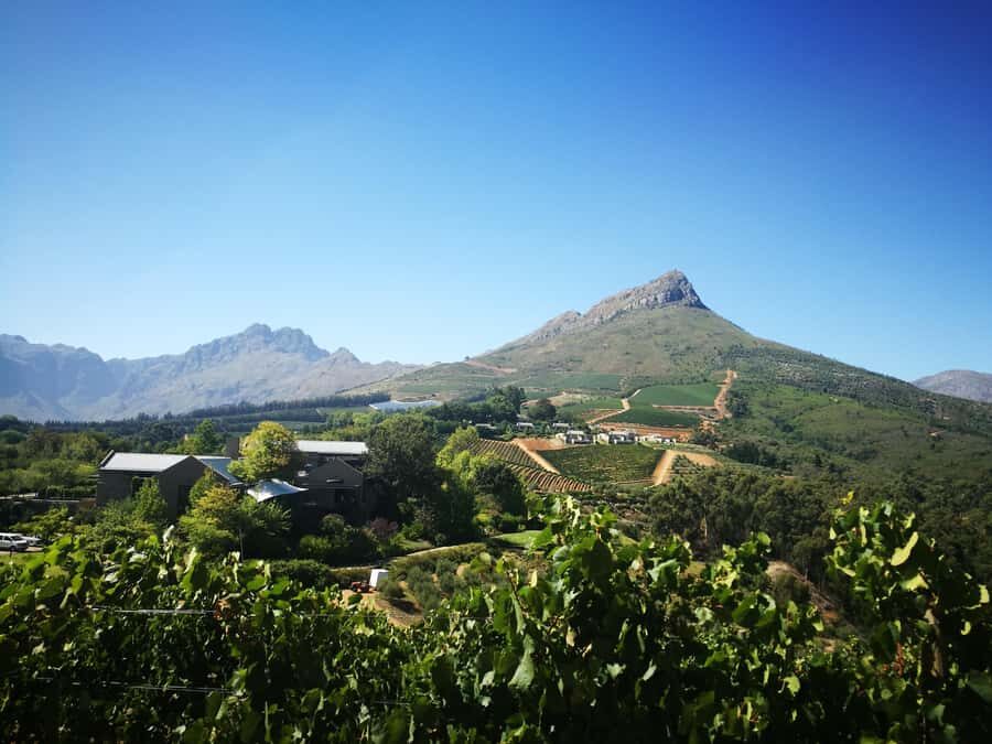 Stellenbosch: Half-Day Guided Nature Hike and Wine Tasting - What to bring (and what you can skip)