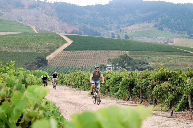 Stellenbosch Half Day Winelands Mountain Bike Tour - How Strenuous Is It? Skill Level, Hills, and the E-Bike Option