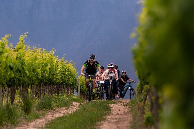 Stellenbosch Half Day Winelands Mountain Bike Tour - Meeting at Skilpadvlei: Gear Up and Get Your Bearings
