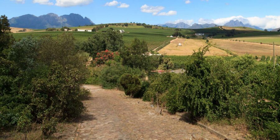 Stellenbosch North Guided Wine Safari (Tastings Excluded) - How Long It Takes and What That Means for Your Day