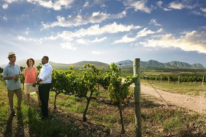 Stellenbosch, Paarl & Franschhoek Private Full Day Wine Tour - Stellenbosch town orientation: second oldest town energy, quick and useful