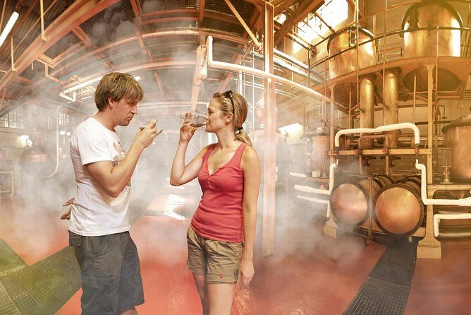 Stellenbosch, Paarl & Franschhoek Private Full Day Wine Tour - Tokara Wine Estate: world-class reds and a side of olive oil