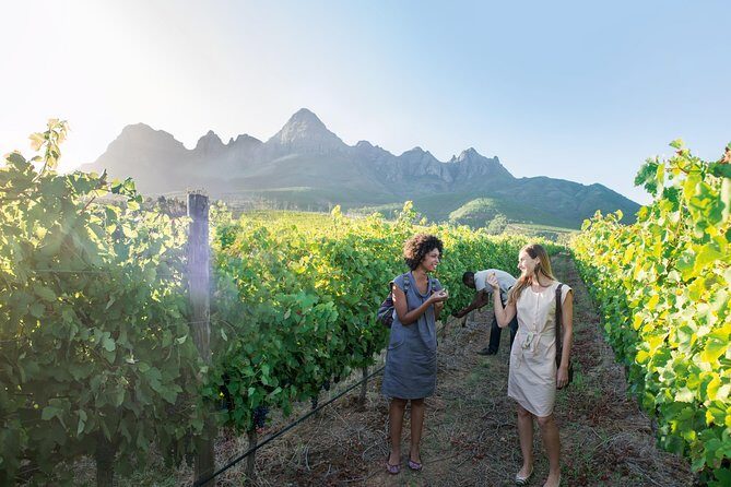 Stellenbosch, Paarl & Franschhoek Private Full Day Wine Tour - Fairview Wine and Cheese: the tasting that rewards your palate