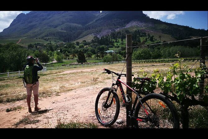 Stellenbosch Private E-Bike & Wine Tour - Stop 2: Thelema Mountain Vineyards and the Mountain-Backed Finish