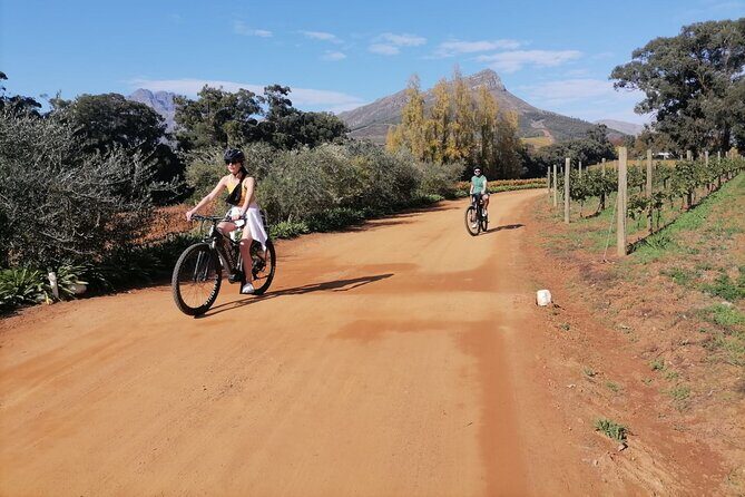 Stellenbosch Private E-Bike & Wine Tour - Weather and Timing: The One Factor You Can’t Control