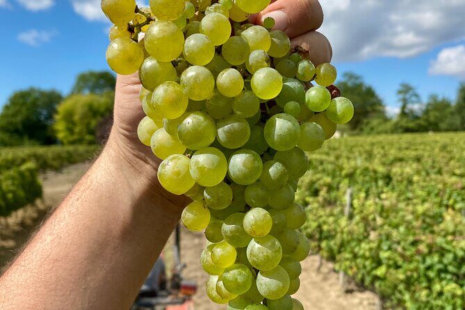 Stellenbosch Small Group Wine Tasting Tour From Cape Town - Boschendal: the Simonsberg–Drakenstein setting and big valley views