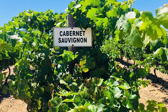 Stellenbosch Small Group Wine Tasting Tour From Cape Town - A quick pause in Stellenbosch: get your bearings