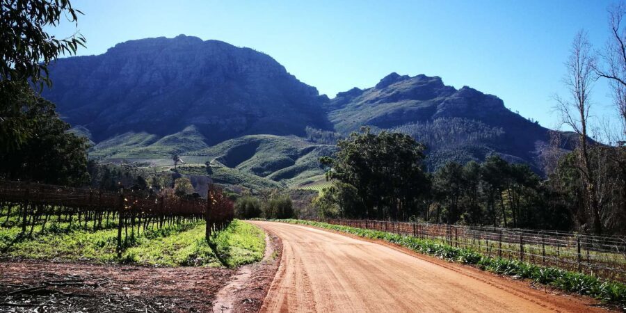 Stellenbosch: Stellenbosch E-Bike & Wine Tour (Shared Tour) - Price and value for a 4.5-hour Stellenbosch day