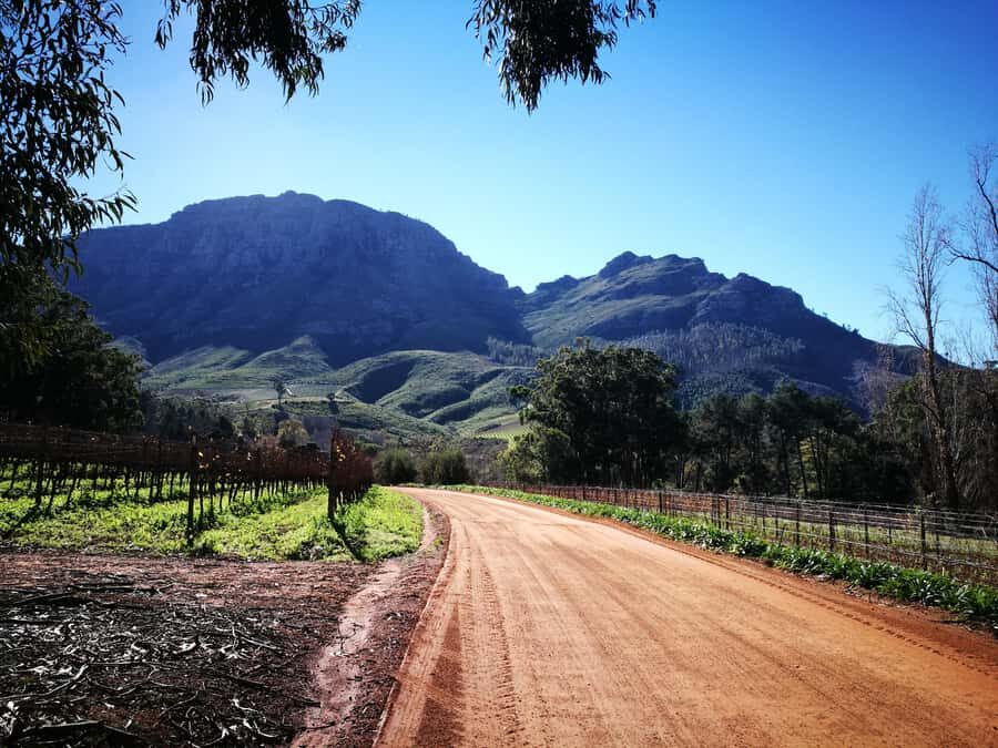 Stellenbosch: Stellenbosch Private E-Bike & Wine Tour - Key highlights worth prioritizing