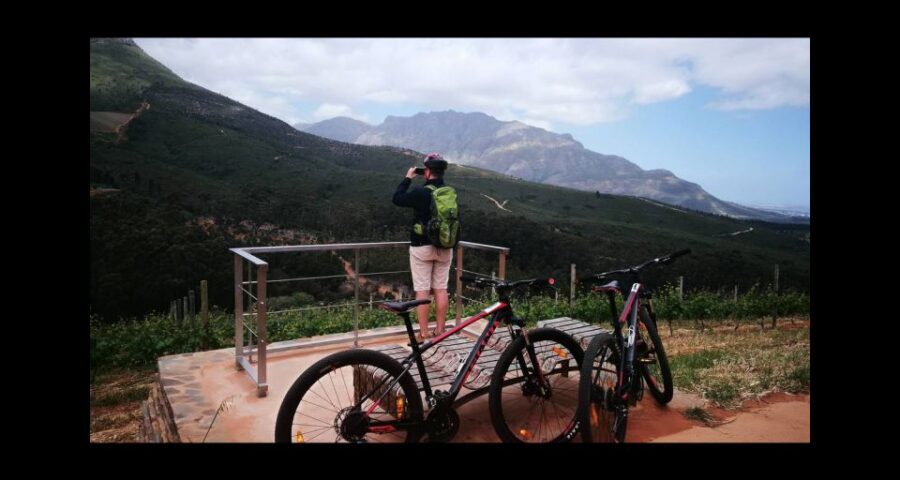 Stellenbosch: Stellenbosch Private E-Bike & Wine Tour - The short vineyard sightseeing moment: photos, air, and reset time