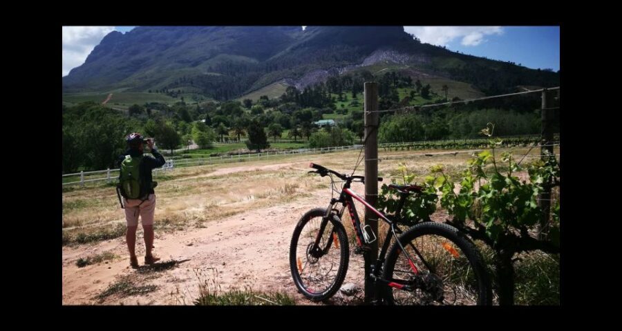 Stellenbosch: Stellenbosch Private E-Bike & Wine Tour - Who should book this tour (and who should skip it)