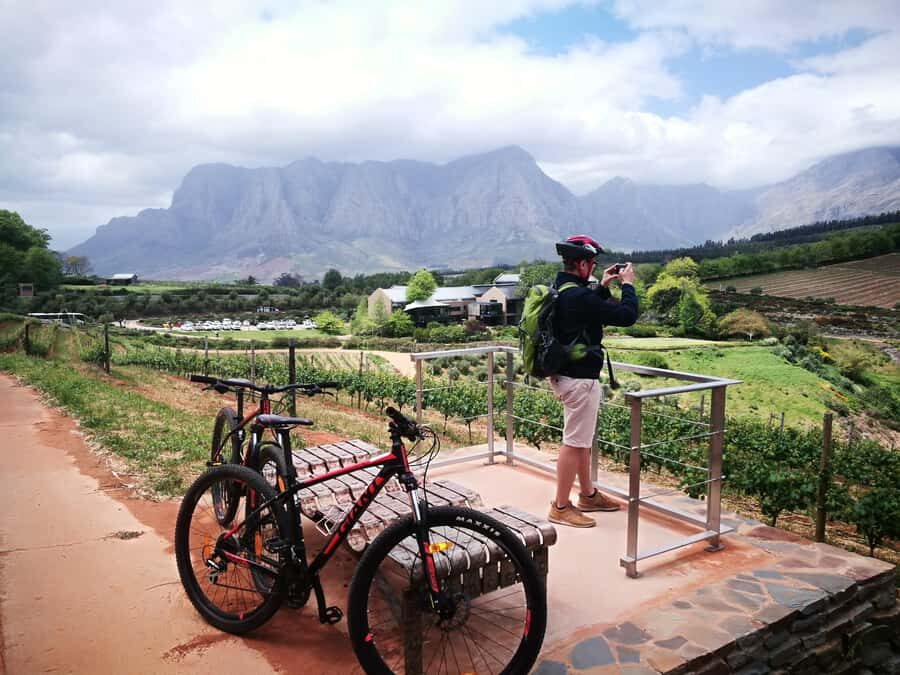 Stellenbosch: Stellenbosch Private E-Bike & Wine Tour - Should you book Stellenbosch Private E-Bike & Wine Tour?