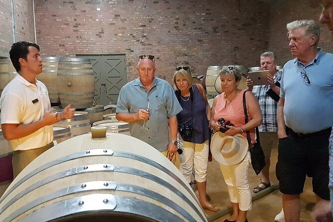 Stellenbosch Valley. Private wine tour with winemaker in Swedish or English. - The Cape Winelands route: why these valleys fit together