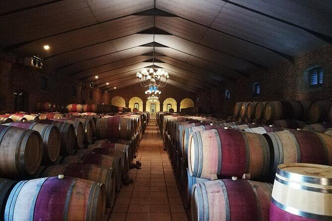 Stellenbosch Vineyard Walk & Wine Tasting - The guide factor: why registered expertise changes the day