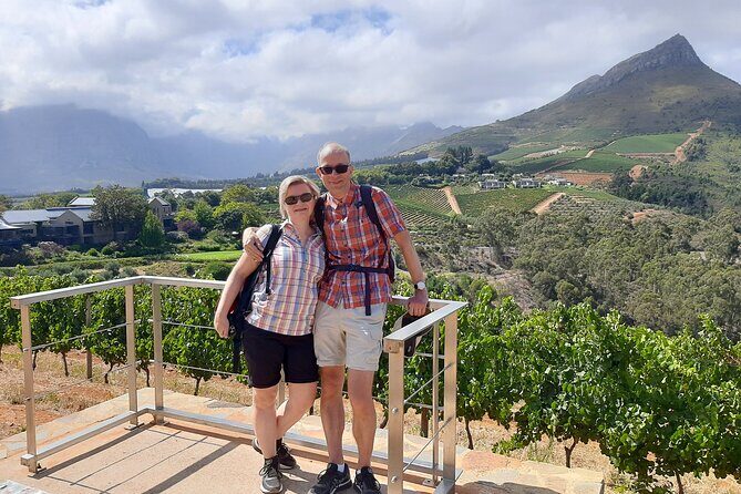 Stellenbosch Vineyard Walk & Wine Tasting - Stop 2 at Tokara Wine Estate: big views, olive trees, and a well-earned glass