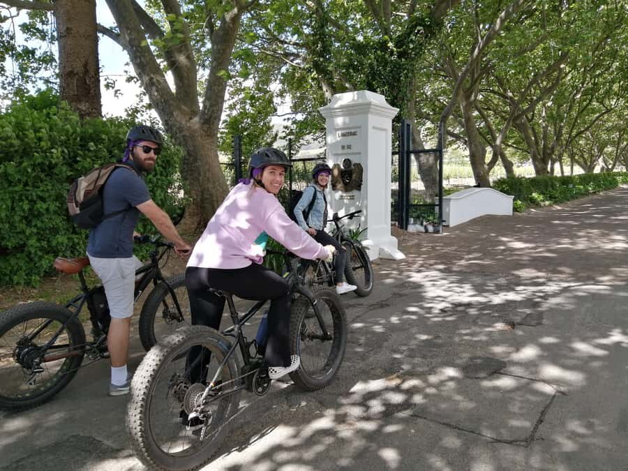 Stellenbosch: Wine Farm E-Bike Guided Tour - Key things to know before you ride