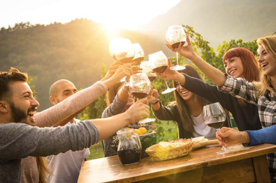 Stellenbosch: Wine Farm E-Bike Guided Tour - Who This Tour Fits Best