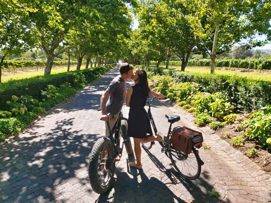 Stellenbosch: Wine Farm E-Bike Guided Tour - How the Guide Makes the Ride Feel Easy and Safe