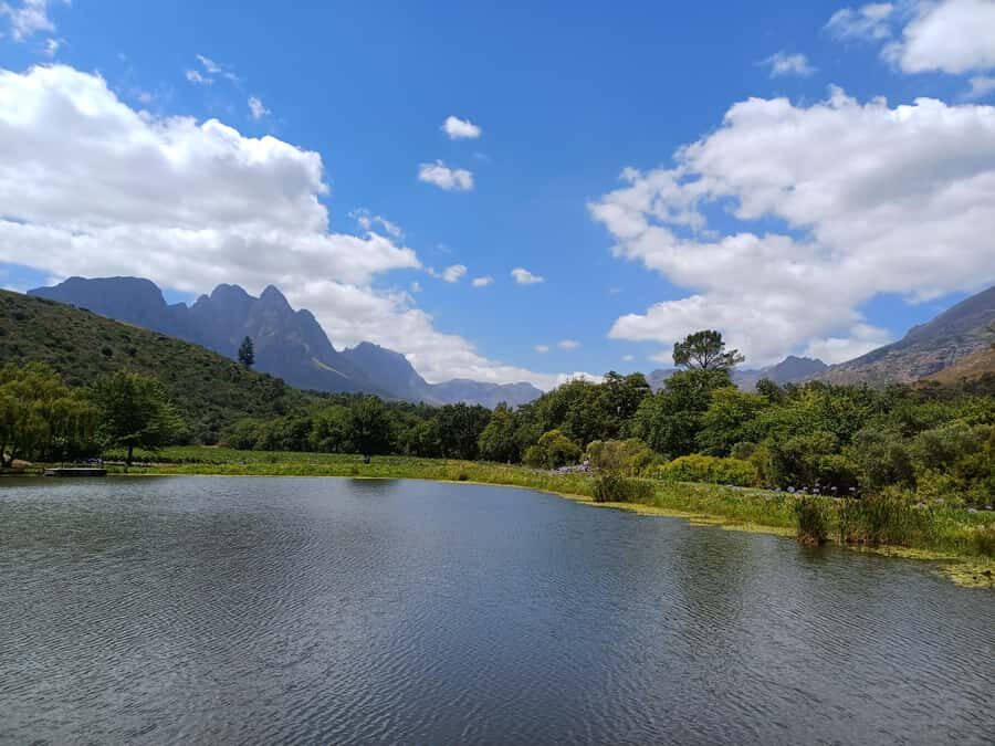 Stellenbosch wine tour, all inclusive of lunch and tastings. - The 8-hour rhythm: start/end Stellenbosch and four winery stops