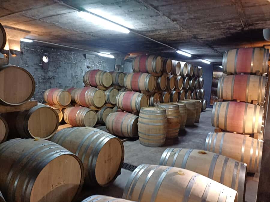 Stellenbosch wine tour, all inclusive of lunch and tastings. - Winery variety and what you’ll learn as you taste