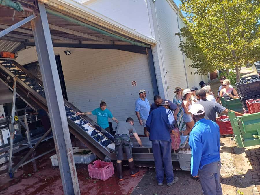 Stellenbosch wine tour, all inclusive of lunch and tastings. - Should you book this Afrivista wine tour in Stellenbosch?