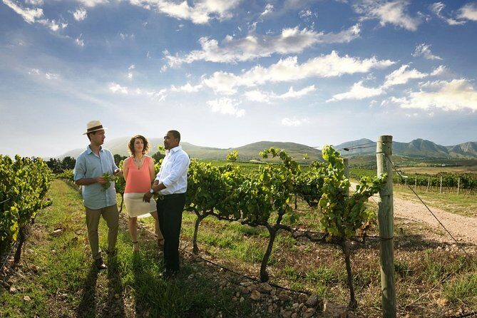 Stellenbosch Wine Tour half day from Cape Town - Entering Stellenbosch: Eikestad Streets and Cape Dutch Details