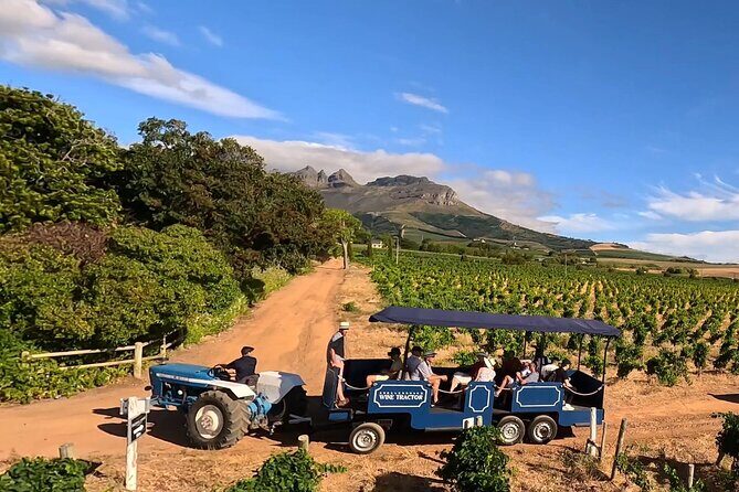Stellenbosch Wine Tractor hop-on-hop off wine tasting tour - Key things to know before you ride