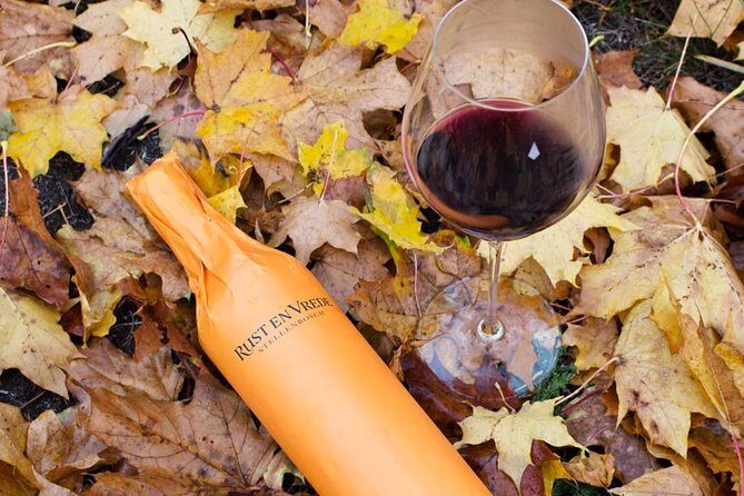 Stellenbosch Winelands Connoisseur Day Tour with Private Transfer - Key highlights that make this day work