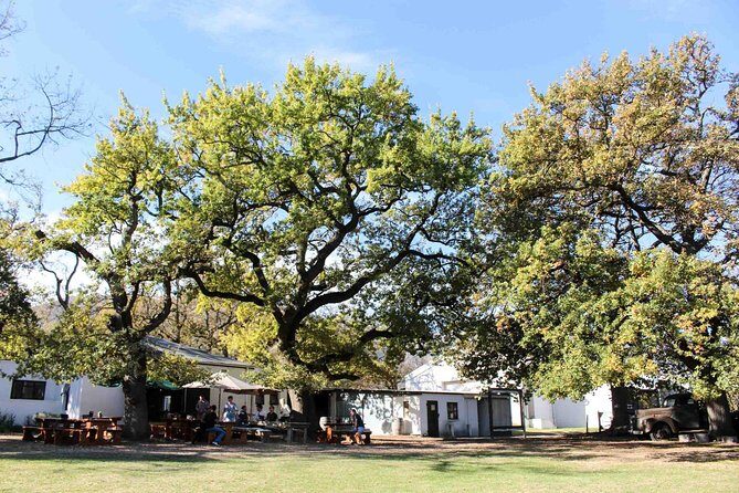 Stellenbosch Winelands Connoisseur Day Tour with Private Transfer - Stop 3: Haute Cabrière and the underground tasting theatre