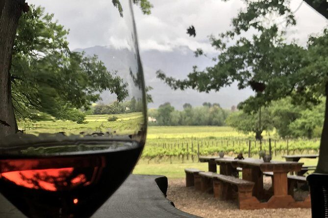 Stellenbosch Winelands Connoisseur Day Tour with Private Transfer - Price and value: what you’re paying for (and what you aren’t)