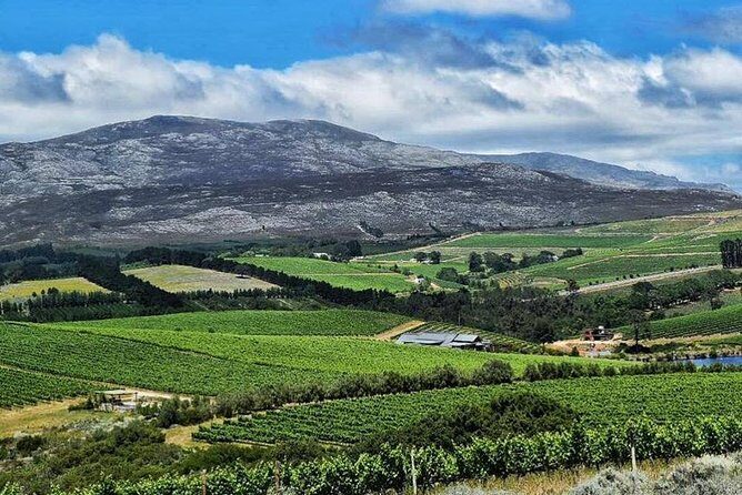 Stellenbosch Winelands Experience - Stop 3: Oldenburg Mountain Vineyards and the idea of sense of place