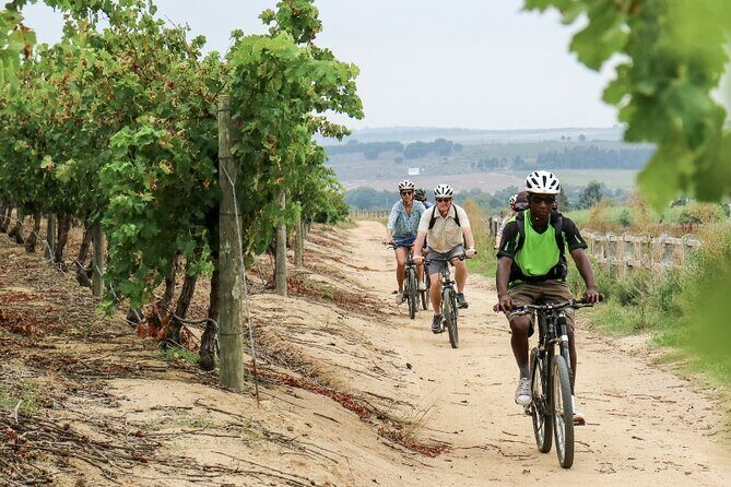 Stellenbosch Winelands Luxury EBike Tour © - Key points to know before you go