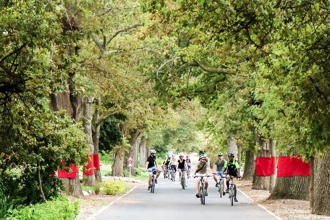 Stellenbosch Winelands Luxury EBike Tour © - Neethlingshof Estate: stone pines, a Cape Dutch werf, and real charm