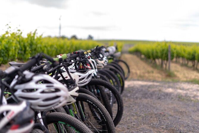 Stellenbosch Winelands Luxury EBike Tour © - De Waal Wines in the Stellenbosch Kloof Valley: nine generations of winemaking